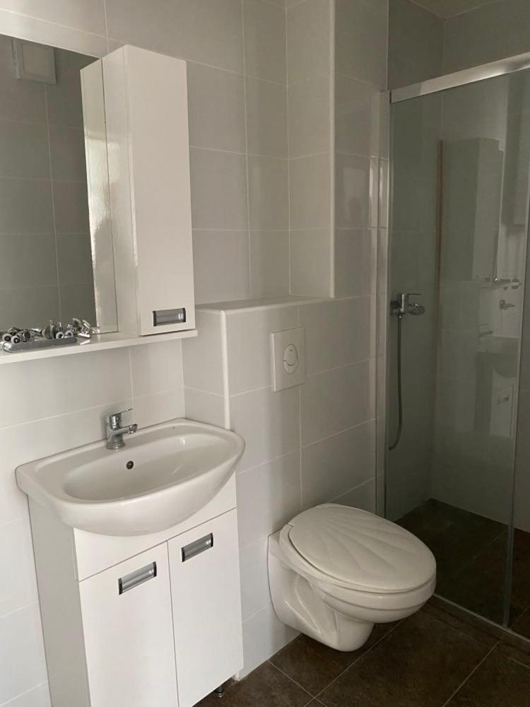 Sandra Apartmani Vrsac Esterno foto